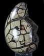 Septarian Dragon Egg Geode - Black Crystals #88332-2